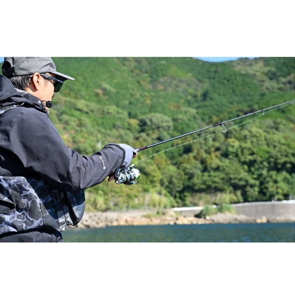 25 セフィア リミテッド